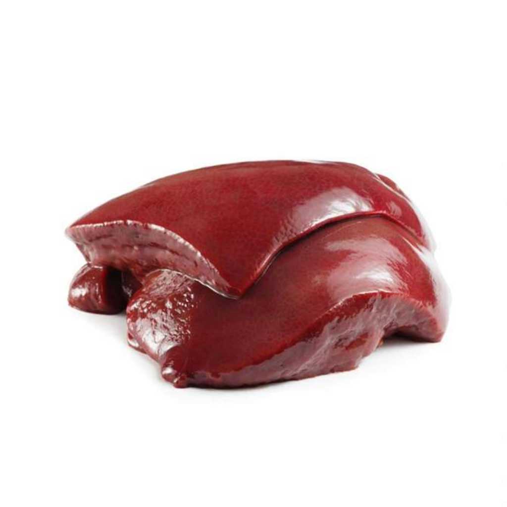 Australian Beef liver on white background