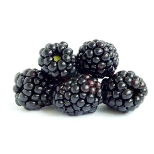 Blackberry 1pk (125g) on a white background