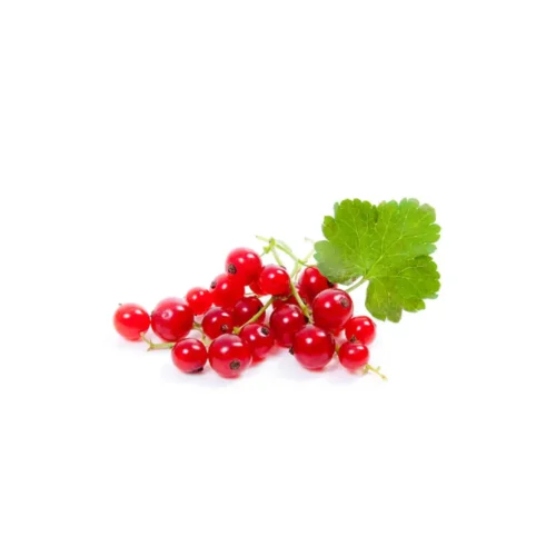 Red Currant/Spain 1pkt (125g) on a white background