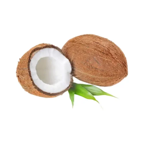 Whole dry coconut from India – Dry Indian Coconut