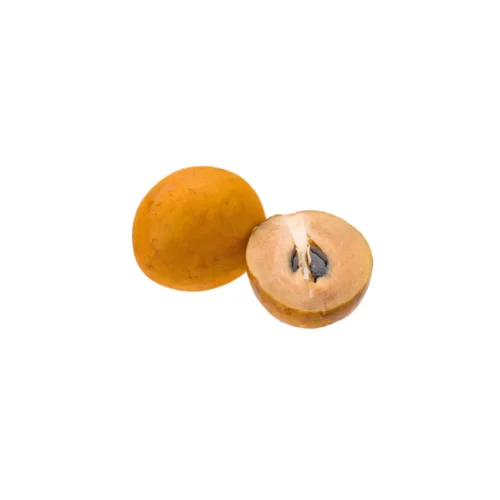 Fresh Indian Chikoo fruit cut open to reveal soft brown flesh
