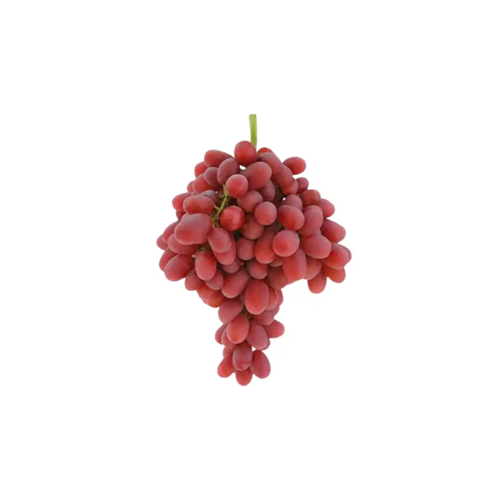 A pack of fresh red seedless grapes from Egypt, showing glossy red-purple clusters in clear packaging.